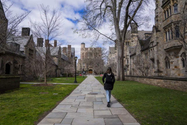 Can Elite Universities Remain Global?