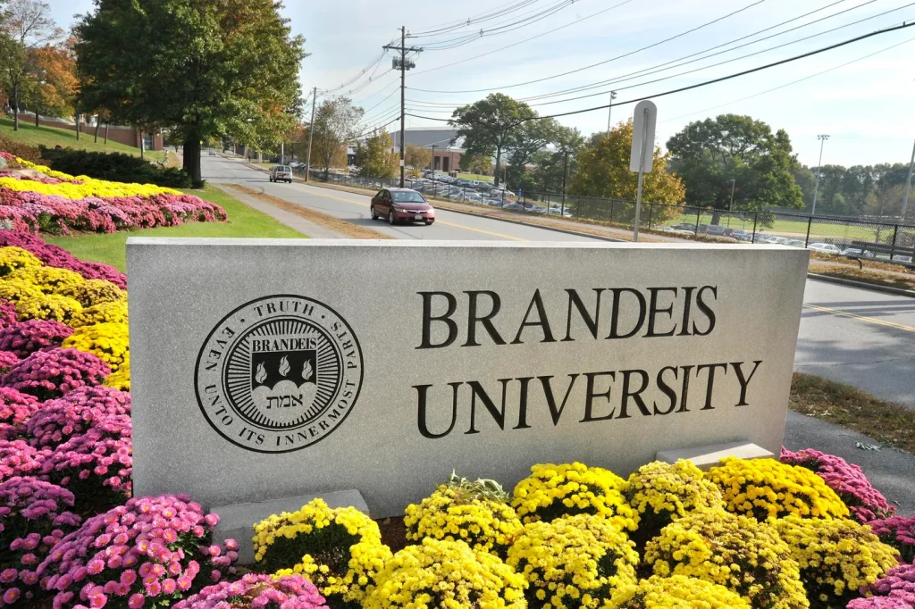 Brandeis’ New AI Tool Upends Admissions With Price Transparency